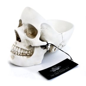 22119_skulltidy-product-matt005
